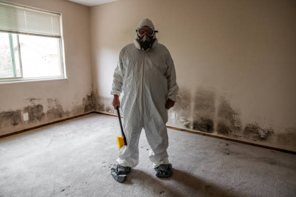 Professional Mold Remediation in Worthington Hills, KY